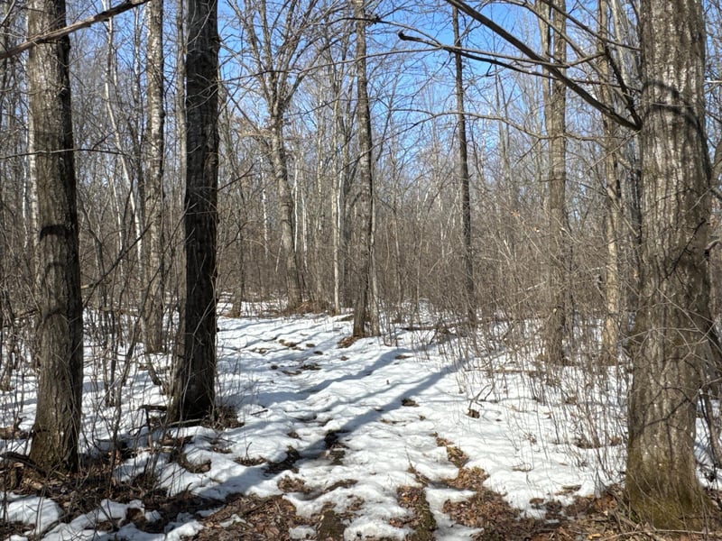 27XX 11th Ave, Chetek, WI 54728