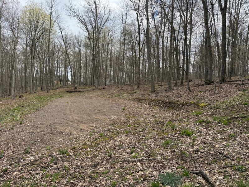 TBD Balsam Dr, Birchwood, WI 54817
