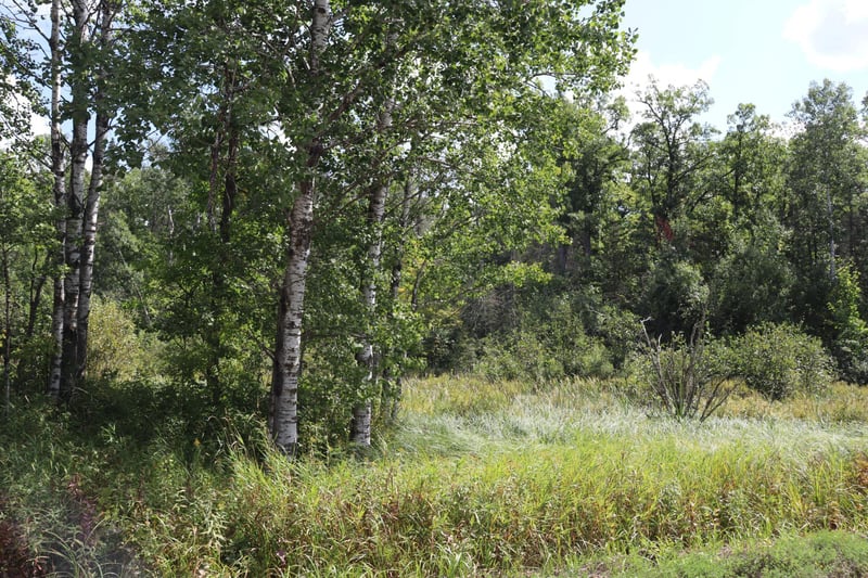 TBD Little Oak Lake Rd, Kerrick, MN 55756