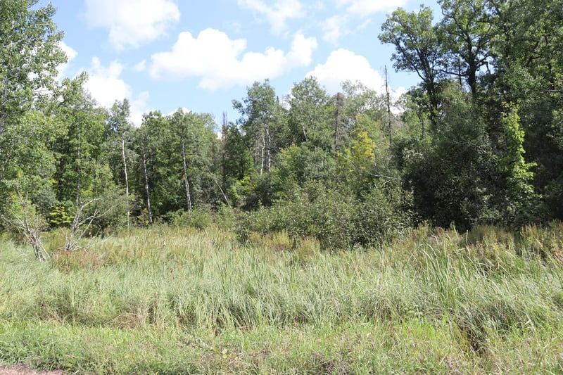 TBD Little Oak Lake Rd, Kerrick, MN 55756