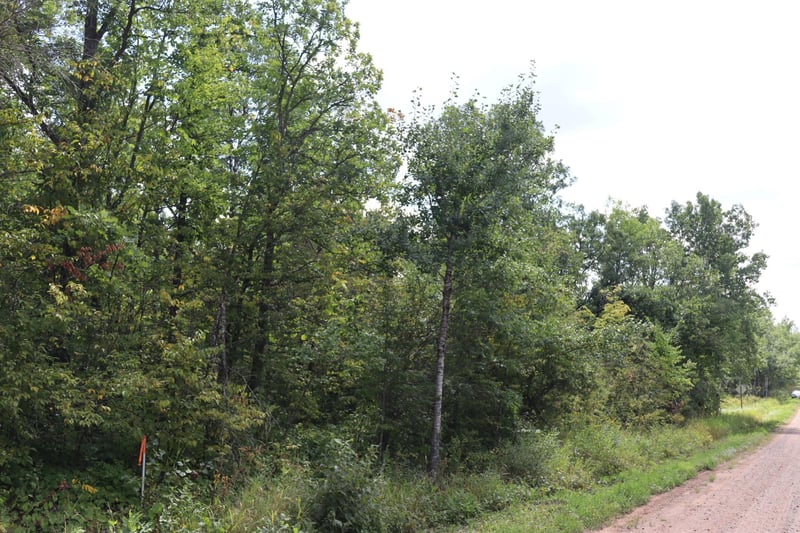 TBD Little Oak Lake Rd, Kerrick, MN 55756