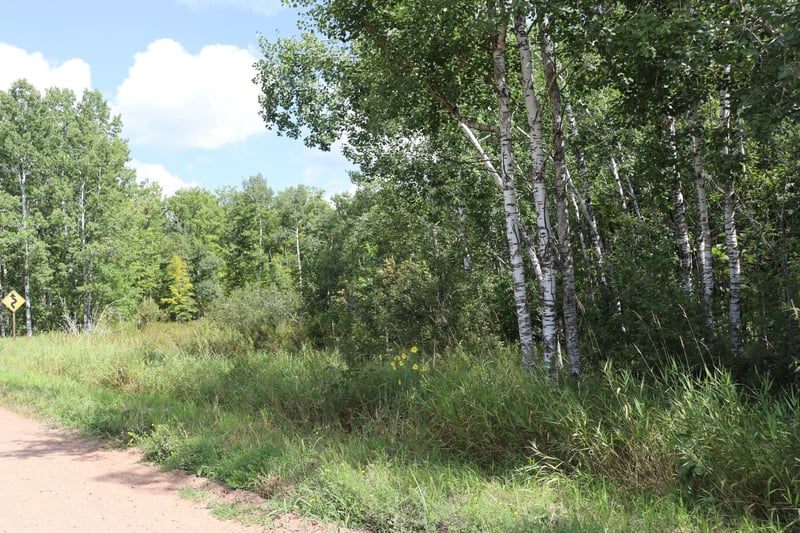 TBD Little Oak Lake Rd, Kerrick, MN 55756