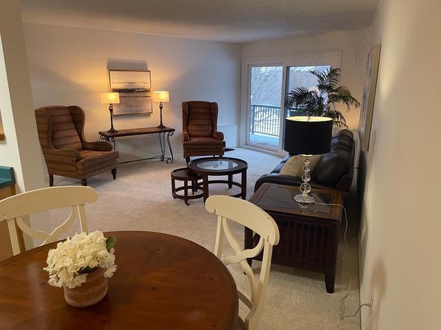 10113 W 34th Ave #335, Hopkins, MN 55305