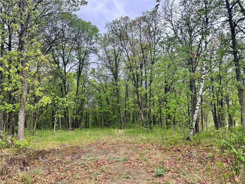 TBD Lot 3 204th St, Park Rapids, MN 56470
