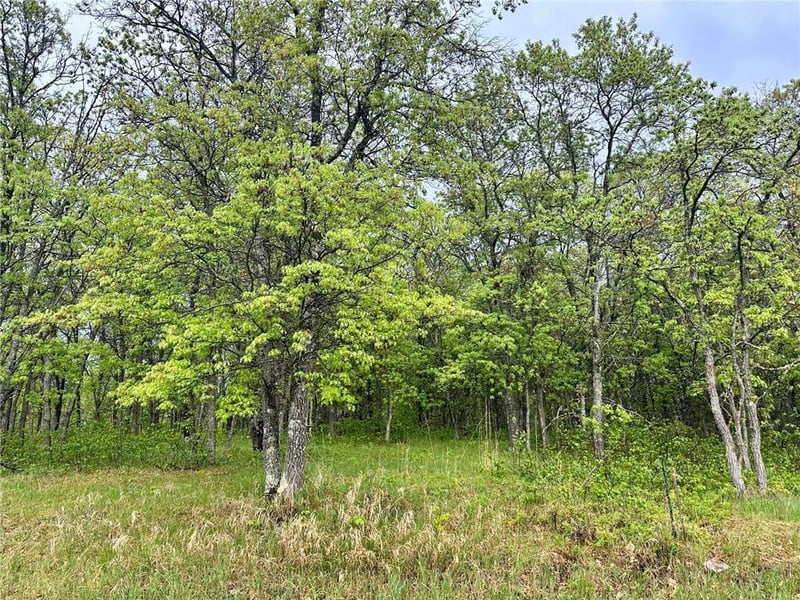 TBD Lot 3 204th St, Park Rapids, MN 56470