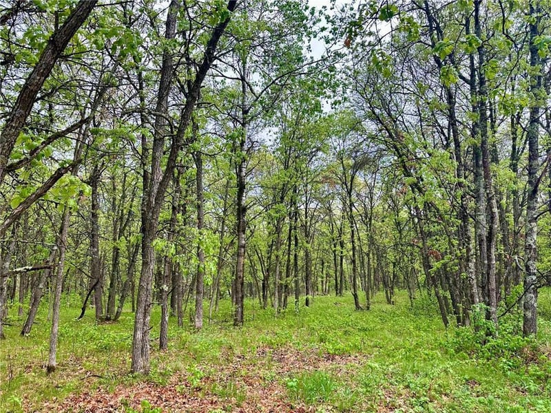 TBD Lot 4 204th St, Park Rapids, MN 56470