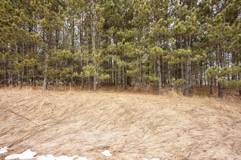 32656 310th St, Browerville, MN 56438
