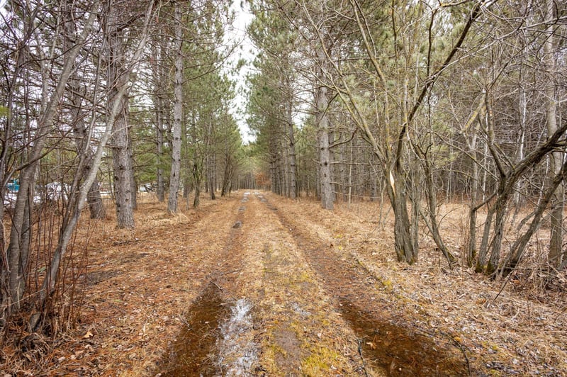 32656 310th St, Browerville, MN 56438