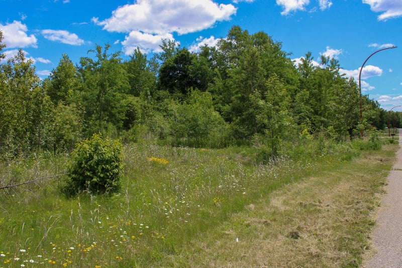 TBD 7th St, Nashwauk, MN 55769