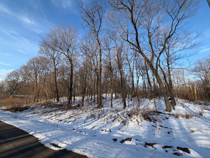 Lots 120 - 121 Earle Brown Dr, Garrison, MN 56450