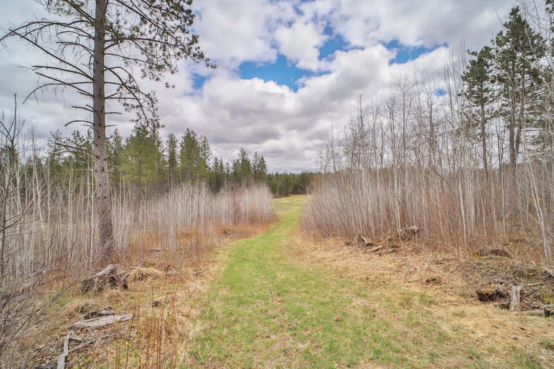 TBD 65th Ave SW, Motley, MN 56466