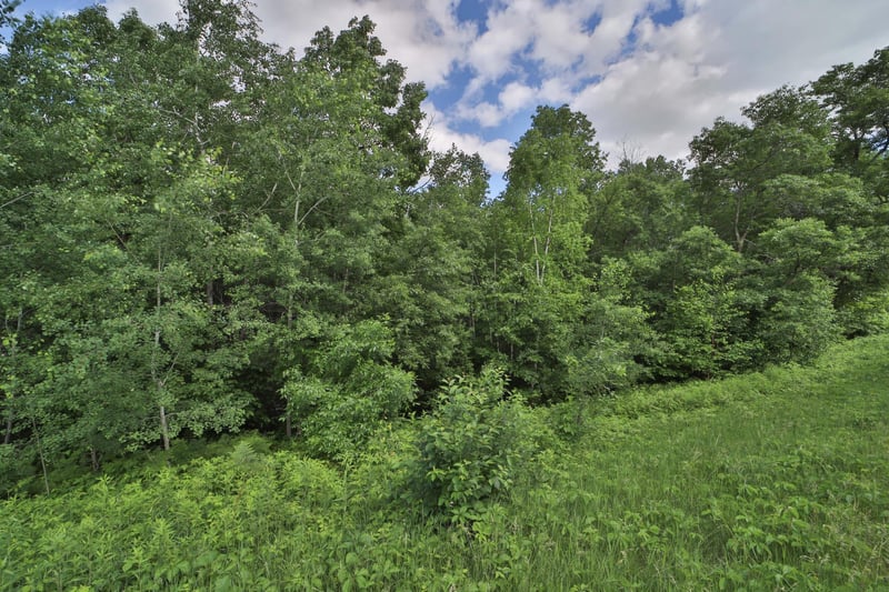 TBD Percheron Dr, Breezy Point, MN 56472