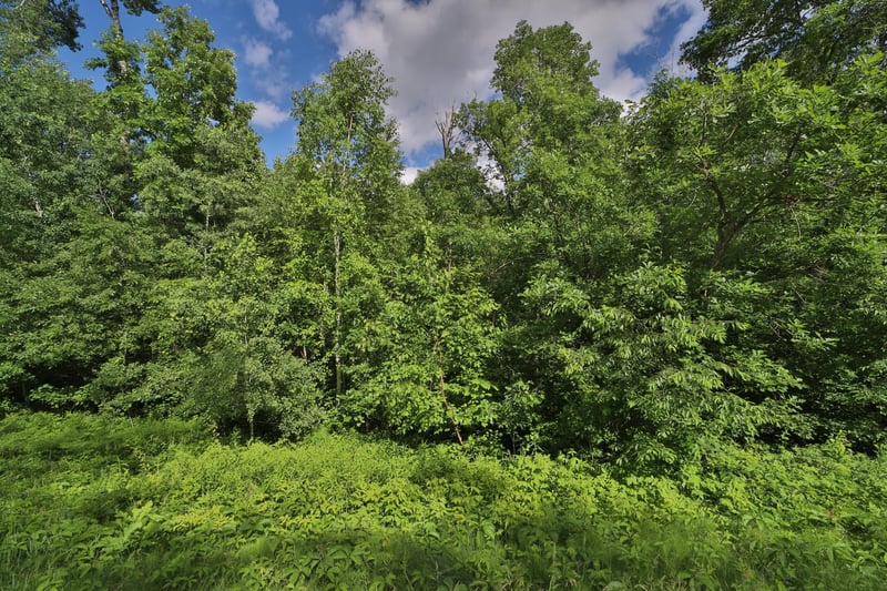 TBD Percheron Dr, Breezy Point, MN 56472