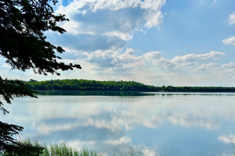 44148 Ida's Rd, Osage, MN 56570