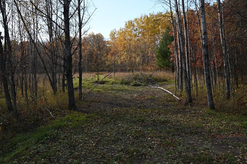 27705 Oberon Loop, Browerville, MN 56438