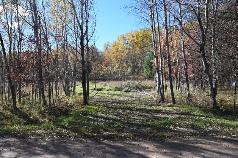 27705 Oberon Loop, Browerville, MN 56438