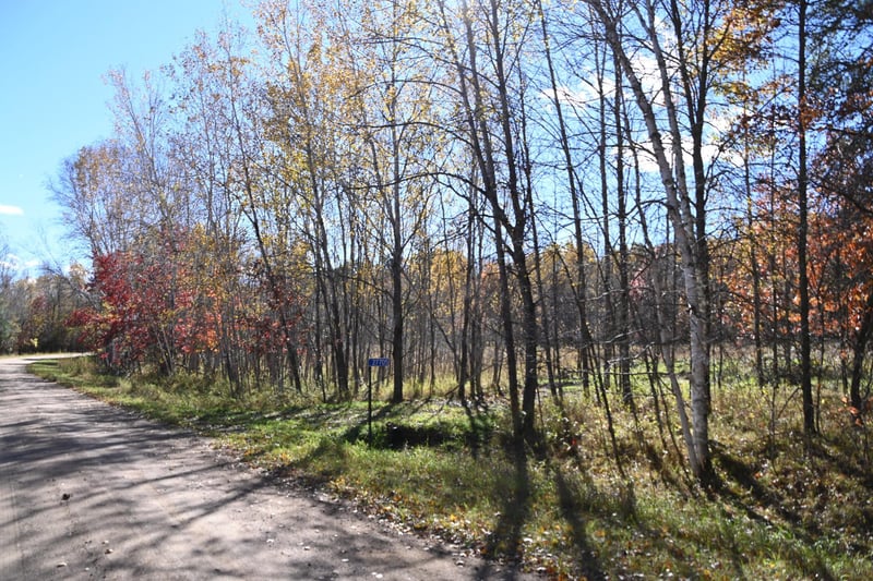 27705 Oberon Loop, Browerville, MN 56438