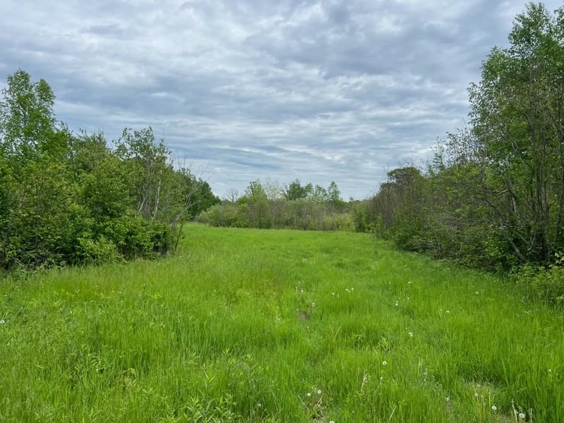 TBD Coneflower Ln SW, Pine River, MN 56474