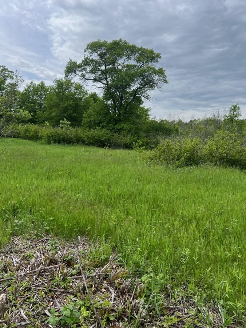 TBD Coneflower Ln SW, Pine River, MN 56474
