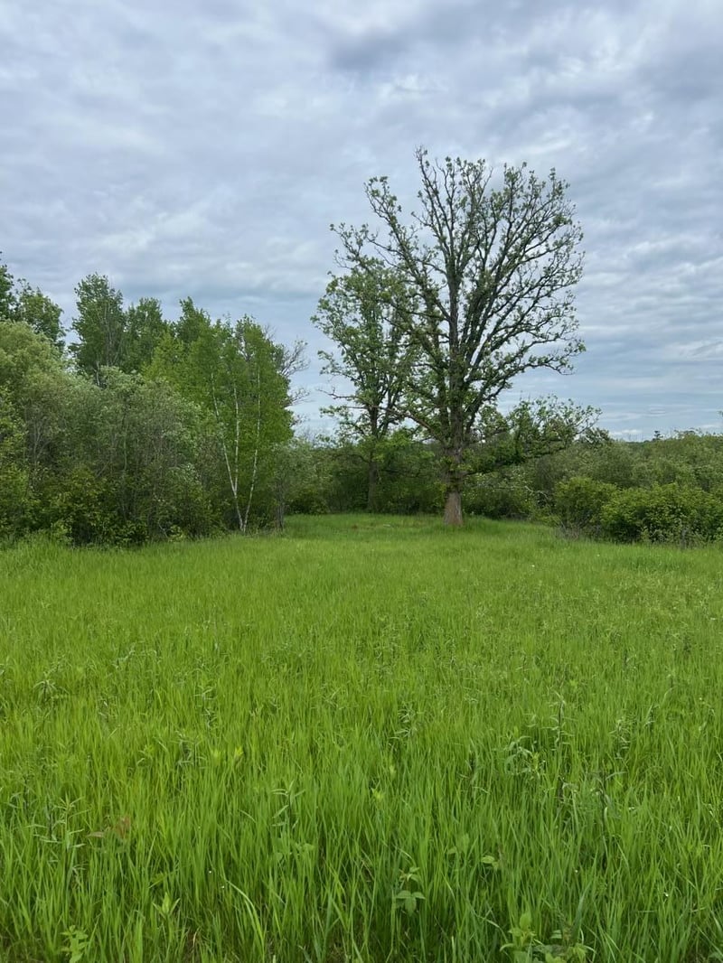 TBD Coneflower Ln SW, Pine River, MN 56474