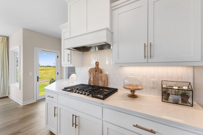 19533 Hamburg Ave, Lakeville, MN 55044