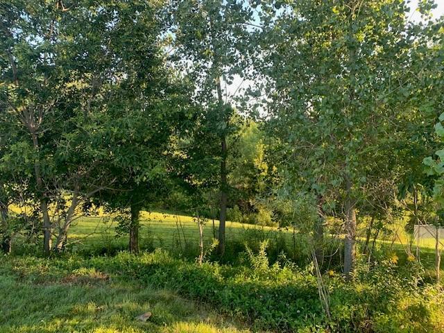 121 Par Dr, Albany, MN 56307