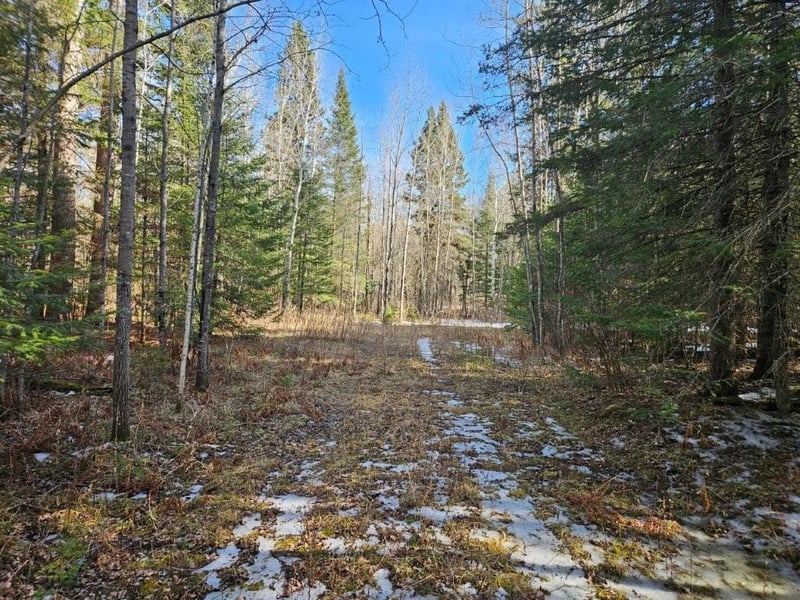 TBD Seaberg Ln, Bagley, MN 56621