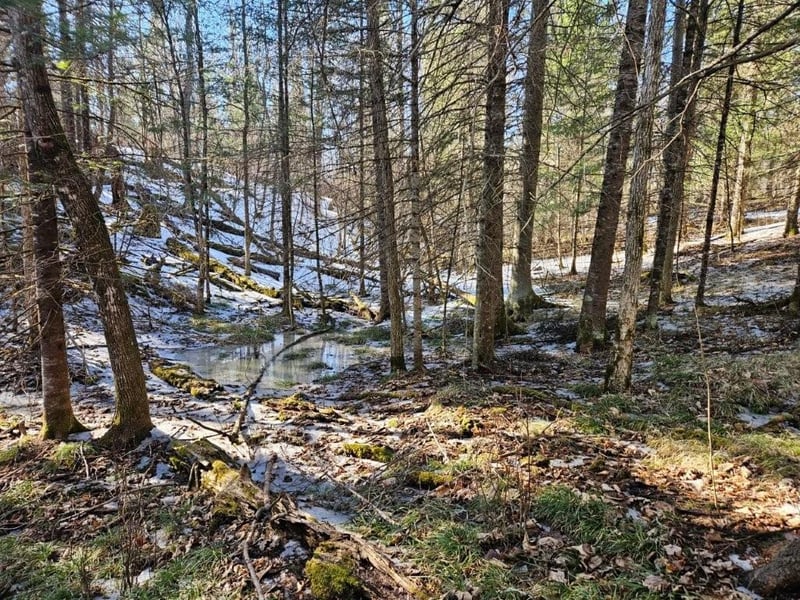 TBD Seaberg Ln, Bagley, MN 56621