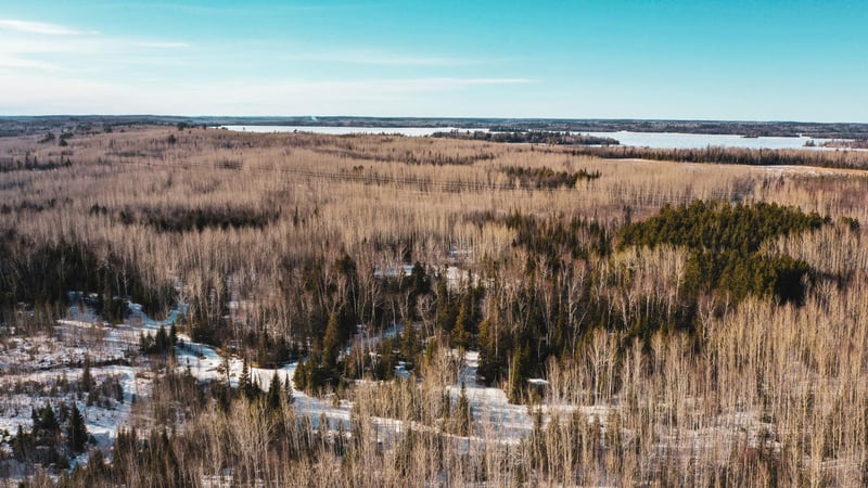 TBD Parcel 17 Hwy 115, Tower, MN 55790