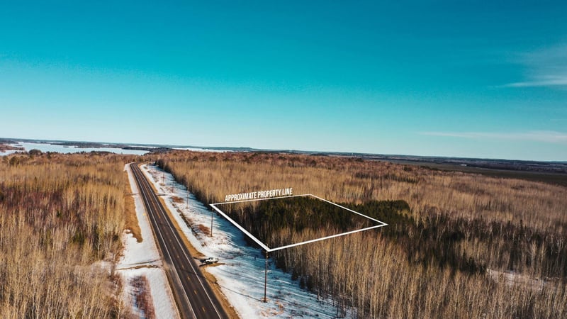 TBD Parcel 17 Hwy 115, Tower, MN 55790