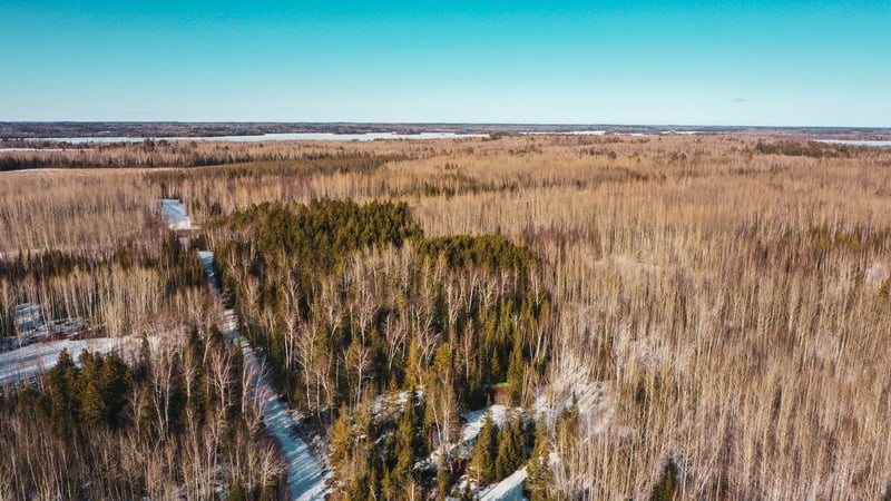 TBD Parcel 17 Hwy 115, Tower, MN 55790