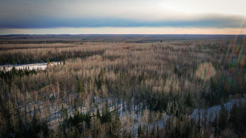 TBD Parcel S Thomas Rd, Tower, MN 55790