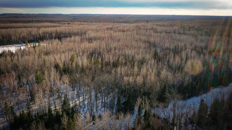 TBD Parcel S Thomas Rd, Tower, MN 55790