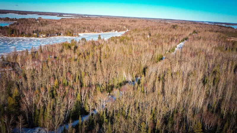 TBD Parcel S Thomas Rd, Tower, MN 55790