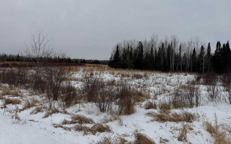 TBD White Rd, Mountain Iron, MN 55768