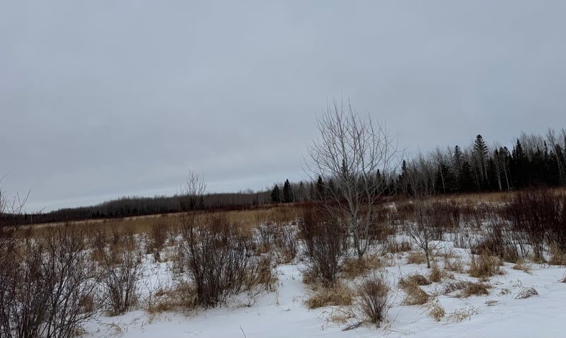 TBD White Rd, Mountain Iron, MN 55768
