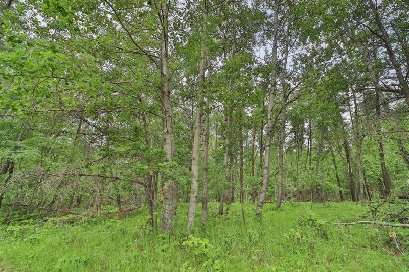 Lot 15 Cedar St, Breezy Point, MN 56472