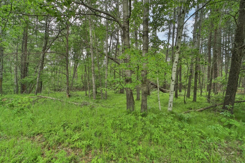 Lot 15 Cedar St, Breezy Point, MN 56472