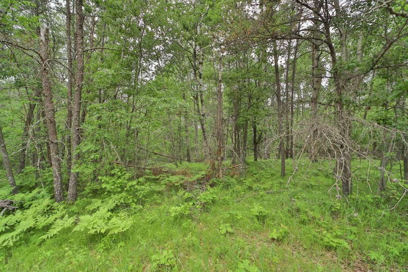 Lot 15 Cedar St, Breezy Point, MN 56472