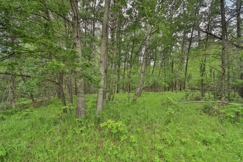 Lot 15 Cedar St, Breezy Point, MN 56472