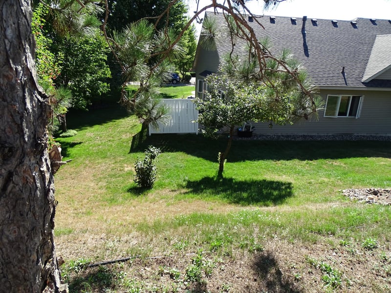 124 Bluebird Ln, Clearwater, MN 55320