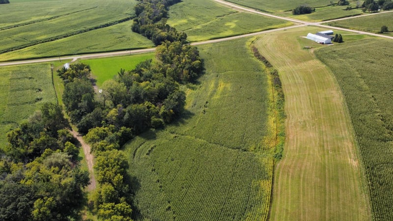 TBD 216th Ln, Faxon Twp, MN 56044