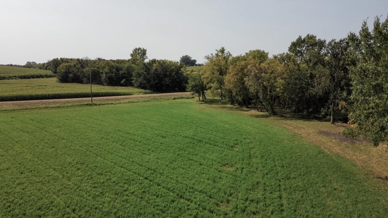 TBD 216th Ln, Faxon Twp, MN 56044