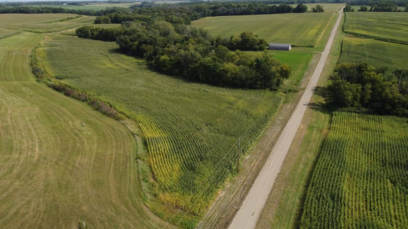 TBD 216th Ln, Faxon Twp, MN 56044