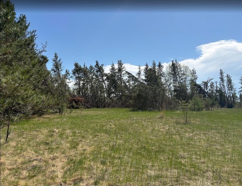 189 Division St W, Bemidji, MN 56601