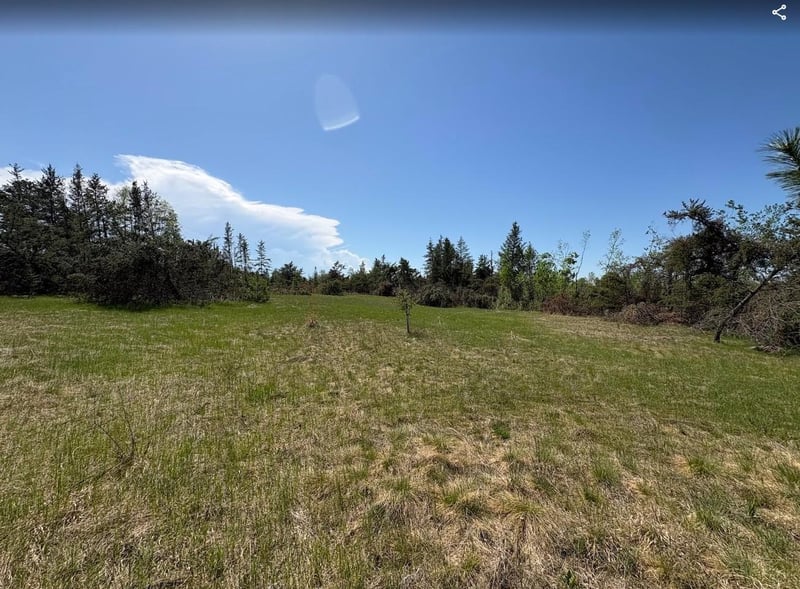 189 Division St W, Bemidji, MN 56601