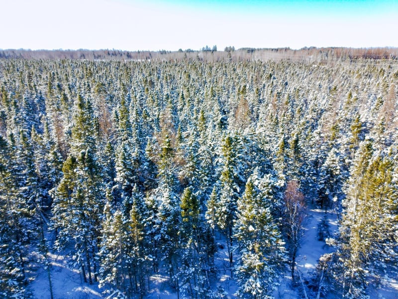 XXXX Highway 73, Cromwell, MN 55726