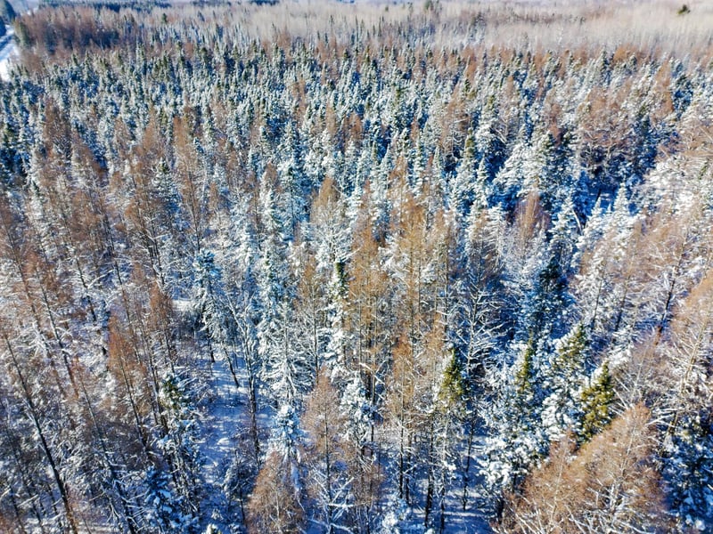XXXX Hwy 73, Cromwell, MN 55726
