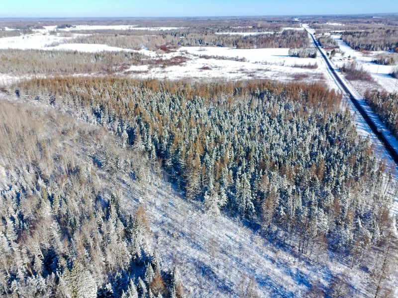 XXXX Hwy 73, Cromwell, MN 55726