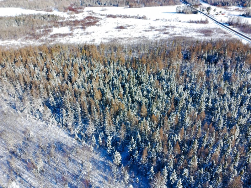 XXXX Hwy 73, Cromwell, MN 55726